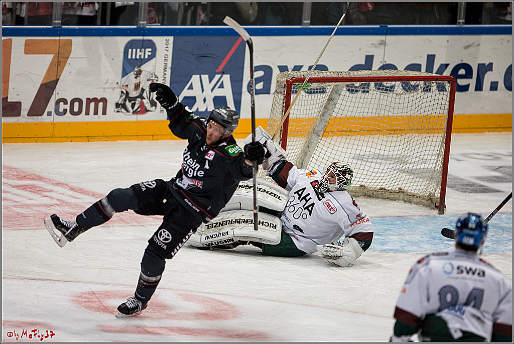 DEL, Koelner Haie - Augsburger Panther, 13.01.2017